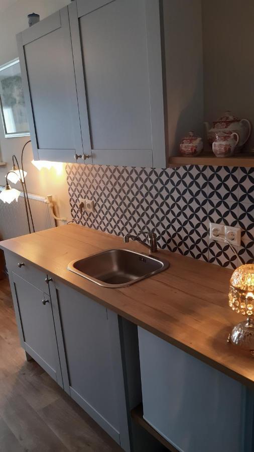 2 Persoons Appartement Le Garage Frieschepalen Kültér fotó